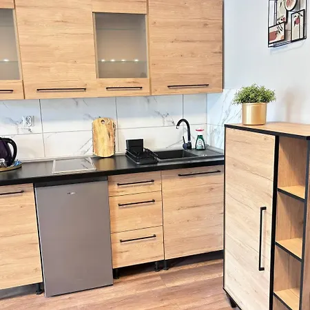 Mieszkanie W Centrum 41 Apartamento *