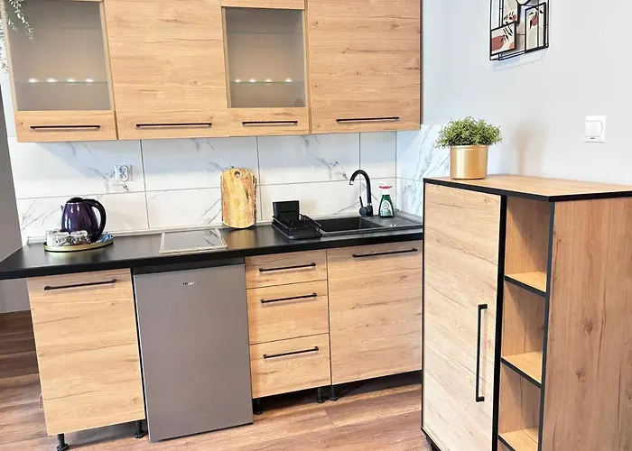 Mieszkanie W Centrum 41 Apartamento *